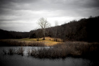 In the early Spring
