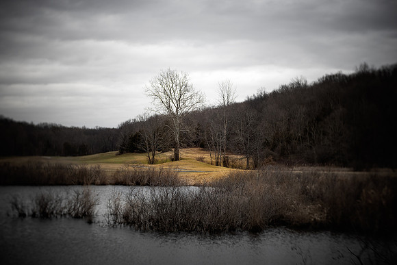 In the early Spring
