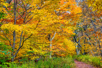 Overlook Mountain
