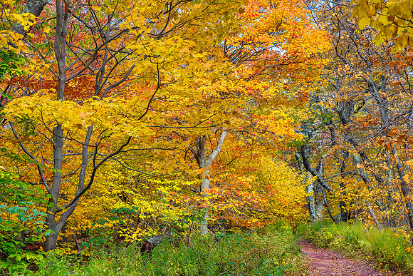 Overlook Mountain