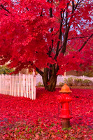 The Red Fire Hydrant