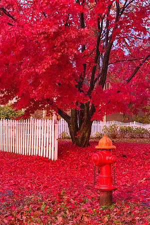 The Red Fire Hydrant
