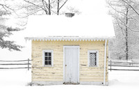 Yellow Winter