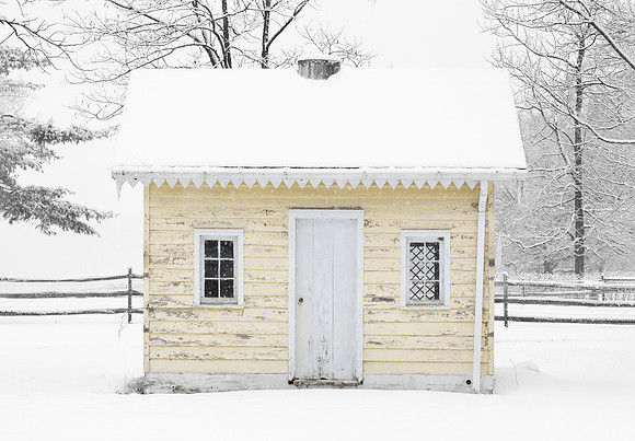 Yellow Winter
