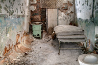 Toilet Bowl